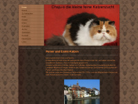 chaju-s.de Webseite Vorschau