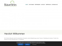 tischlerei-baeuerlein.de Webseite Vorschau