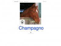 champagno.de Webseite Vorschau