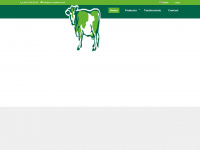 cow-welfare.com Webseite Vorschau