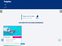 dolphindiscovery.com Webseite Vorschau