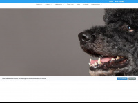 casa-canini.de Webseite Vorschau