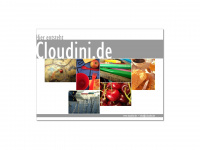 cloudini.de Webseite Vorschau