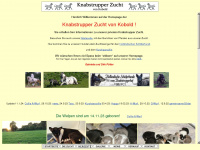 knabstrupper-von-kobold.de Webseite Vorschau