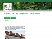 spiegelhofer.at Webseite Vorschau