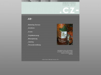 cz-marketing-services.de Webseite Vorschau