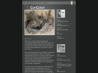 concolori.de Webseite Vorschau