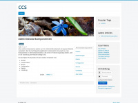campe-creative-service.de Webseite Vorschau