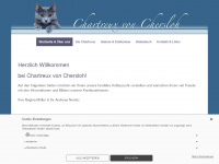 chartreux-von-chersloh.de Webseite Vorschau