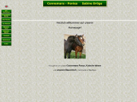 connemara-pony-droege.de Webseite Vorschau