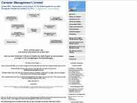 camstermanagement.com Webseite Vorschau