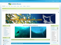 catfish-divers.de Webseite Vorschau