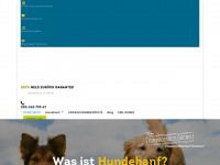 hundehanf.de Webseite Vorschau