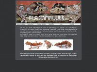 dactylus.de Webseite Vorschau
