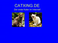 catxing.de Webseite Vorschau