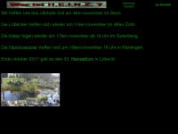 sf-heinz.de Webseite Vorschau