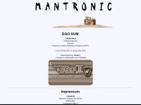 mantronic-software.de Webseite Vorschau