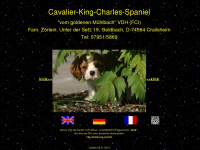 Cavalier-king-charles-spaniel-online.de