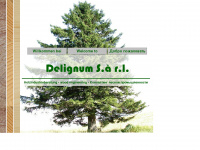 delignum.de Webseite Vorschau
