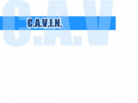 cavin.de Webseite Vorschau