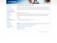 crm-project.de Webseite Vorschau