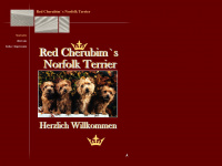 Cherubims-royal-norfolkterrier.de