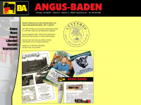 ccbaden.de Webseite Vorschau