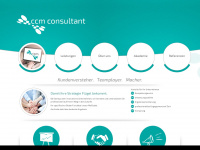 Ccm-consultant.de