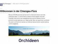 chiemgau-flora.de Webseite Vorschau