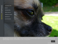 chihuahua-freunde.com Webseite Vorschau