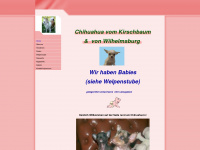chihuahua-vom-kirschbaum.de Webseite Vorschau