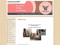 chihuahuanothilfe.de Webseite Vorschau
