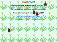 datexpert.de Webseite Vorschau