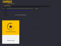 car-nice.de Webseite Vorschau