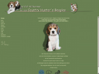 country-hunters-beagles.de Webseite Vorschau