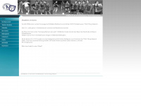damenfussball.com Webseite Vorschau