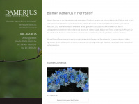 damerius-berlin.de Webseite Vorschau