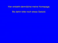 denkingerhome.de Webseite Vorschau