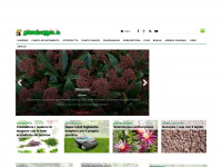 giardinaggio.it Webseite Vorschau
