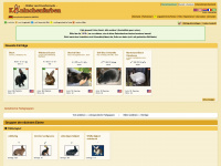 rabbitcolors.info Webseite Vorschau