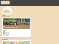 hundenothilfe.de Webseite Vorschau