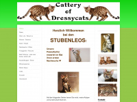 dressycats.de Webseite Vorschau