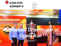 kois-fuer-kenner.de Webseite Vorschau