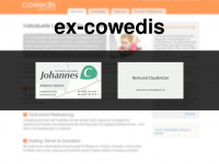 cowedis.de Webseite Vorschau