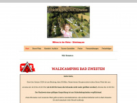 waldcamping.de Webseite Vorschau