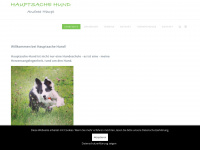 hauptsache-hund.com Webseite Vorschau