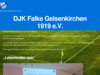 djk-falke.com Webseite Vorschau