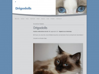 drigodolls.de Webseite Vorschau