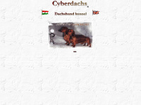 cyberdachs.hu Webseite Vorschau