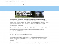 haldi-uri.ch Webseite Vorschau